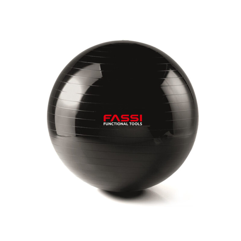 Gym Ball 65 cm Fassi