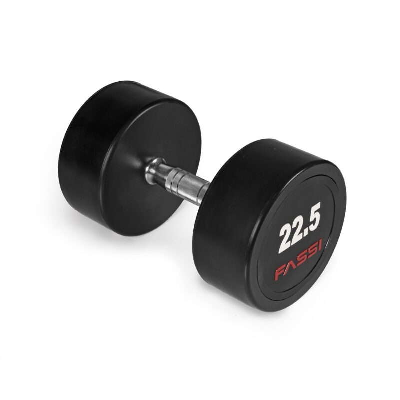 Manubrio professionale singolo 22,5 Kg Fassi