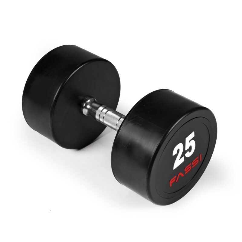 Manubrio professionale singolo 25 Kg Fassi