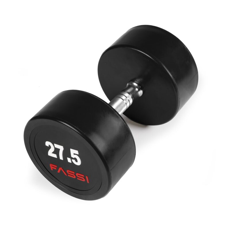 Manubrio professionale singolo 27,5 Kg Fassi