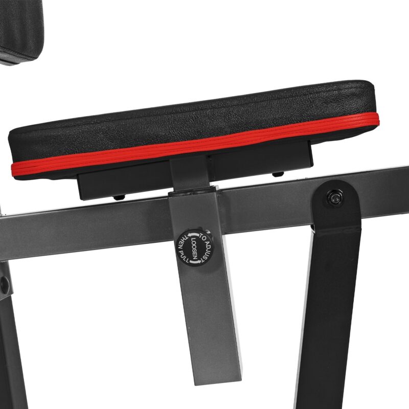 Multistation Fassi Power Gym 250 - immagine 4