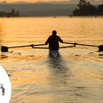 Quali muscoli si sviluppano con il vogatore_ fassi blog