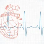 allenamento e frequenza cardiaca