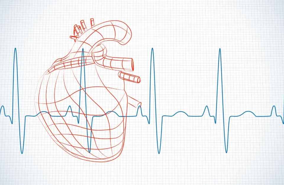 allenamento e frequenza cardiaca