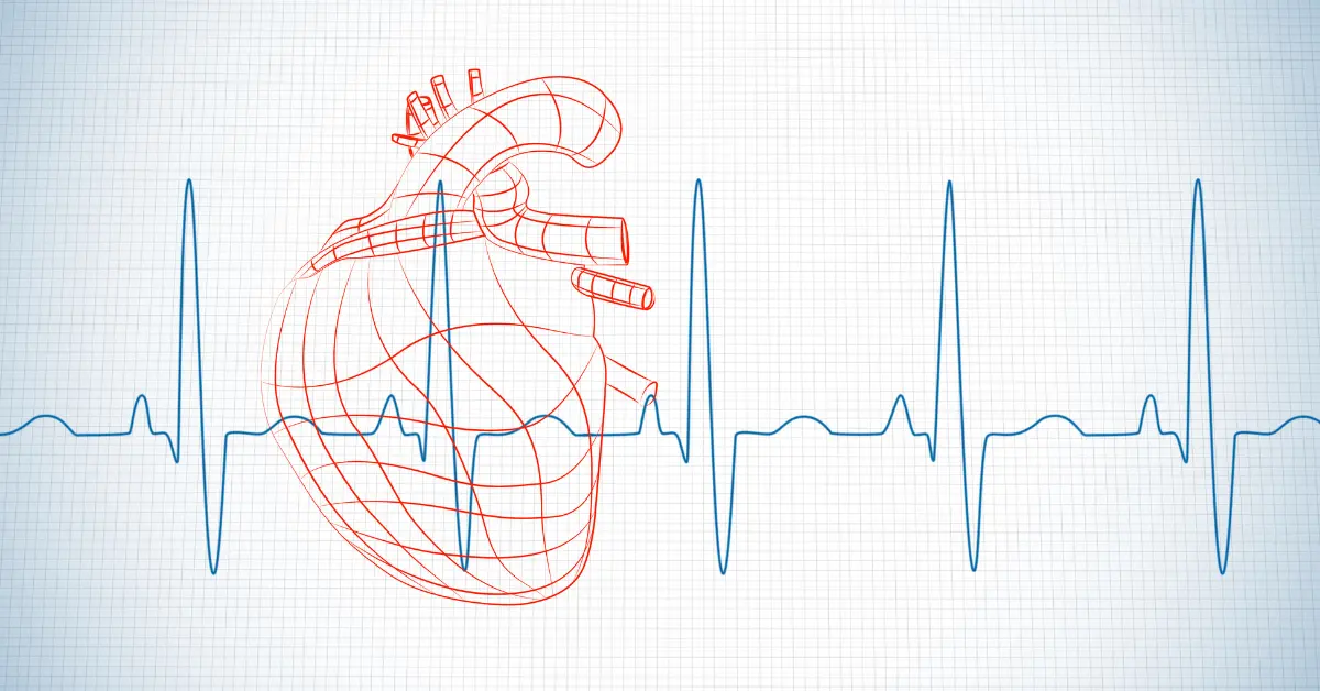allenamento e frequenza cardiaca